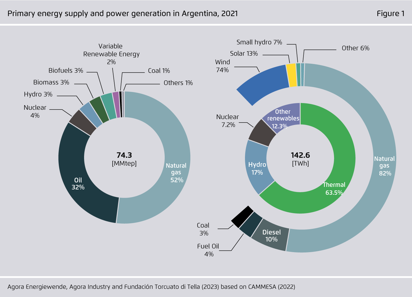 Preview for Primary energy supply and power generation in Argentina, 2021