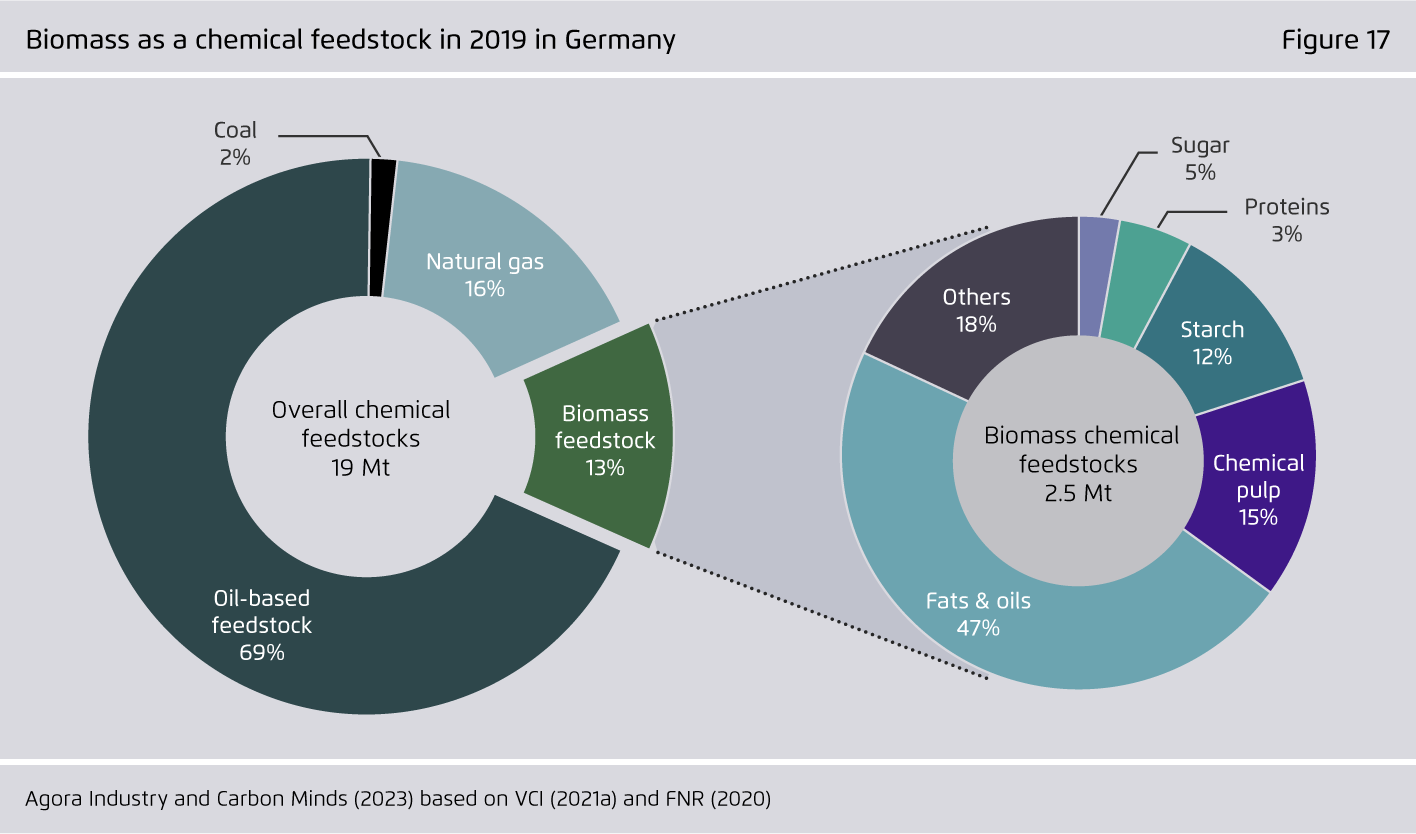 Preview for Biomass as a chemical feedstock in 2019 in Germany