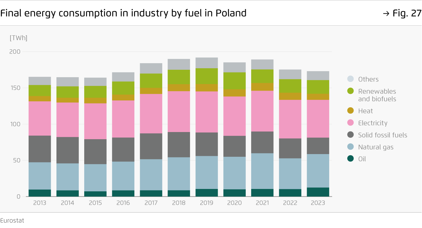 Preview for Final energy consumption in industry by fuel in Poland