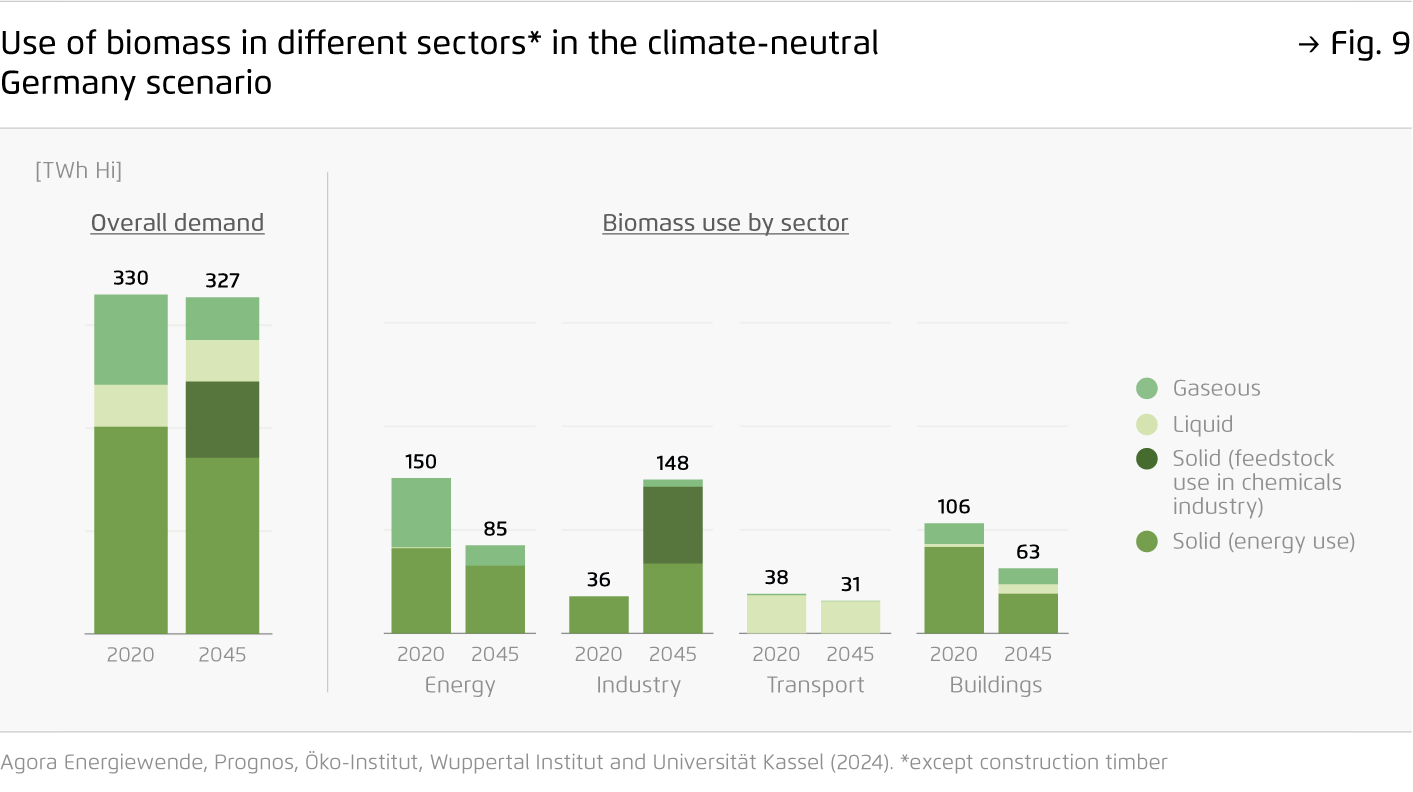 Preview for Use of biomass in different sectors* in the climate-neutral  Germany scenario