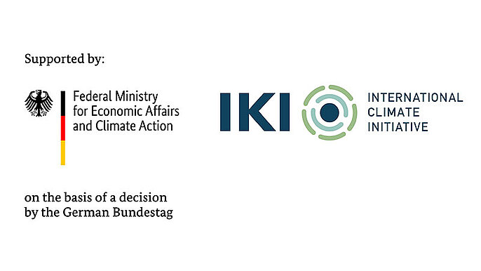 International Climate Initiative (IKI)